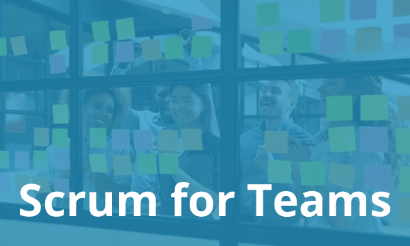Scrum Training for Teams