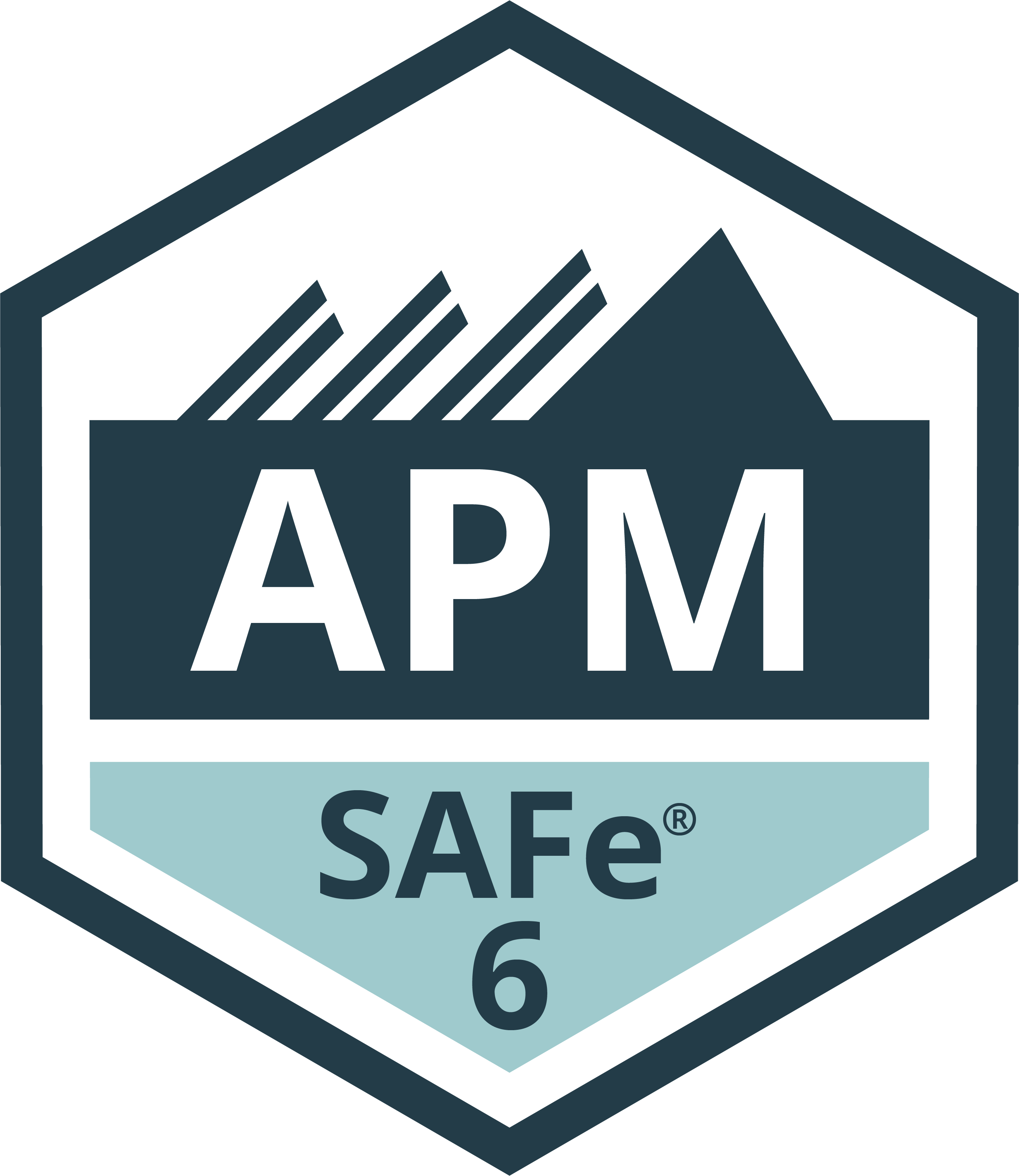 SAFe Agile Product Management APM Agilizer Academy